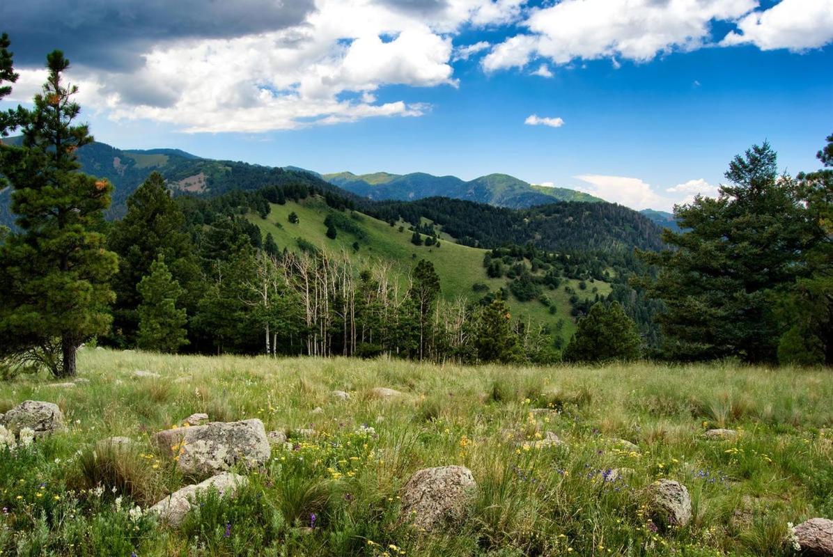 Sugar Butter Chalet Villa Ruidoso Dış mekan fotoğraf